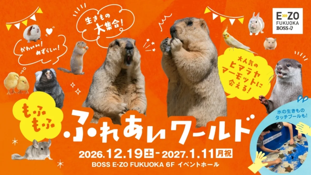 E・ZO 모후모후 후레아이 월드 2026〜2027